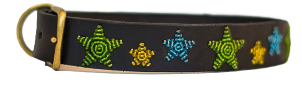 Aqua Star