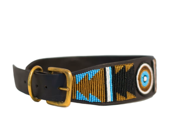 Earth with Turquoise