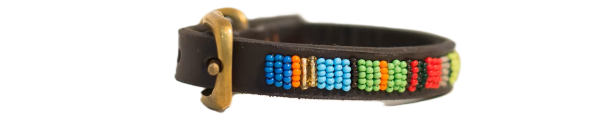 Maasai Stripe