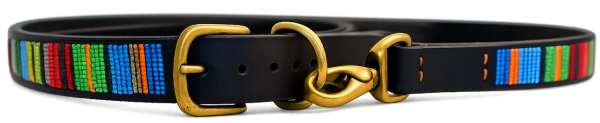 Buckle on Color